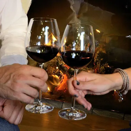 Pfleger 호텔 Anras